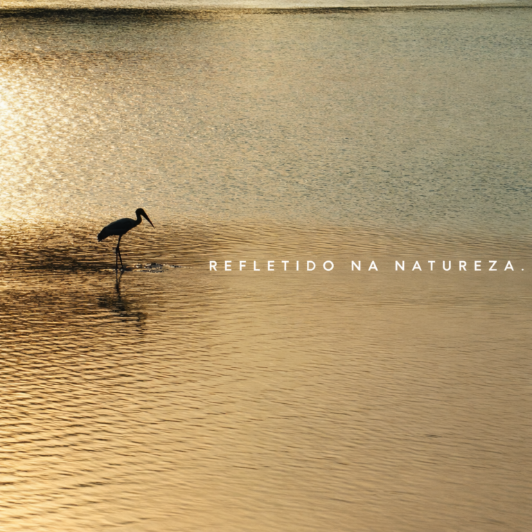 14 de jan. de 2026, 07_13_06