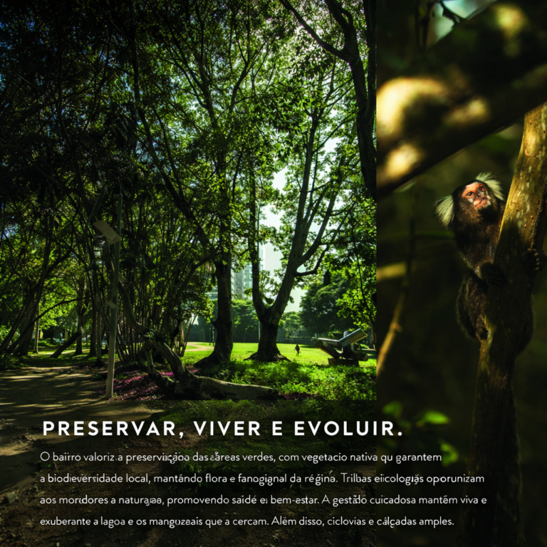 ChatGPT Image 14 de jan. de 2026, 08_28_46