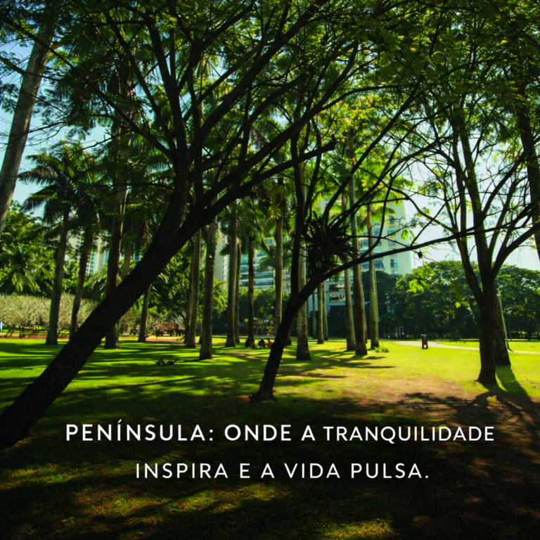 ChatGPT Image 14 de jan. de 2026, 08_45_12